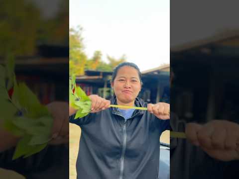 ไม่ไปก็ได้ #โบ๊ะบ๊ะshorts #funny #shots