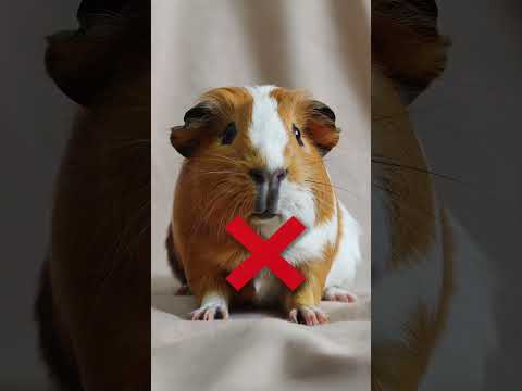 5 Mind-Blowing World Facts You Won’t Believe! 🌍 #beautifulcountries #facts #unveilingearth