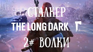 The Long Dark | Сталкер | Один выстрел - один труп. Ну почти)
