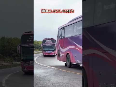 MEDAL JAYA GANK'S 😍🥳 #bus #busmania #basuri #shorts #wow