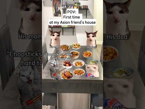 First time at my Asian friend's house #shorts #catmemes #relatable #funny #funnyvideo