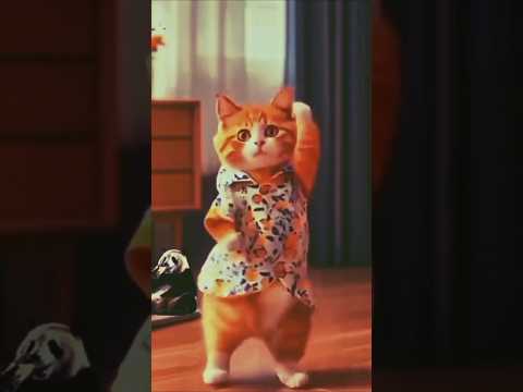 Crazy Cute Cat Dancing 💜😹 | #cutecat #cats #cat #dancingcat #catvideos #shortfeed #viralshorts #f33