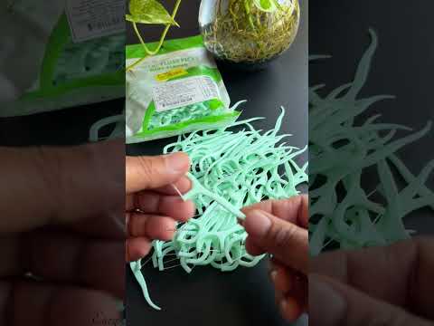 🔥👌 Dental Floss With Handle @eazyhomeonlineshopping