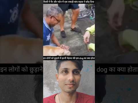 कोई इतना भी निर्दई कैसे भाई ?