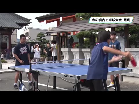 寺の境内で卓球大会 青空のもと軽快なピンポンの音響かせる 足利