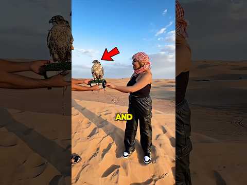 Dubai Eagle Fail (@red_sand_desert_tours) 😂