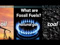 Fossil Fuels and Their Uses