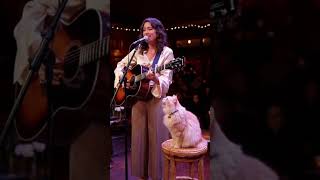 Wait For The Cat Reaction #cat #funnycats #orangecat