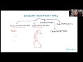 Sensory Receptors and Their Functions