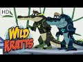 Crocodile and Alligator Behavior