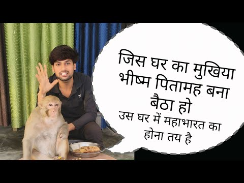 Akash monkey rani ki history ।। आकाश मंकी रानी के घर वाले कैसे हैं।।
