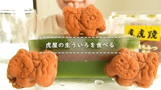 動画サムネイル