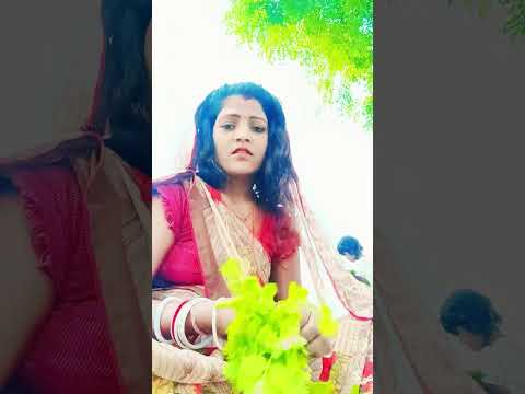 दुनिया के सब कुछ 🙏 #bhojpuri है छठी मैया