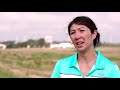 Cedar River Watershed Partnership Insights