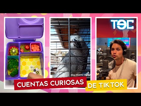 CURIOSIDADES DE TIKTOK