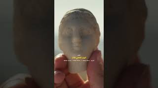 السبت 17 أكتوبر | اليوم العالمي للآثار | ناشونال جيوغرافيك أبوظبي
