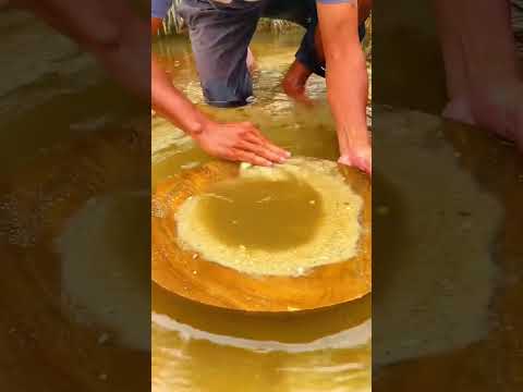 Wow,!! amazing gold grains covered in moss and white sand #golddiscovery #goldrush #goldmining