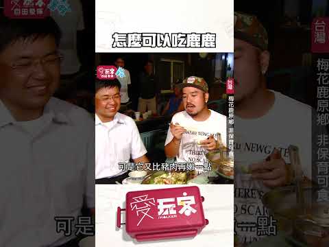 梅花鹿那麼可愛怎捨得吃呢【週一愛玩客】#自由發揮 #shorts