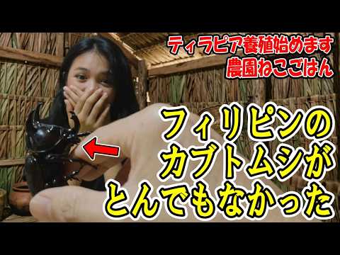 【マジ恐怖】掴むと絶対離さない！フィリピンのカブトムシ