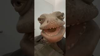 Aachen aufgepasst! Wir kommen am 20. September 2026 zu Euch.