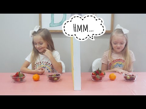 TWIN TELEPATHY CHALLENGE! With Willa and Thea!!