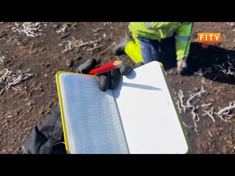 YouTube video thumbnail: Tussac Project to Protect Falkland Islands Peatlands