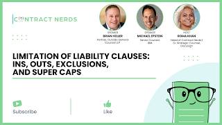 Limitation of Liability Clauses w/ Brian Heller, Michael Epstein, and Roma Khan