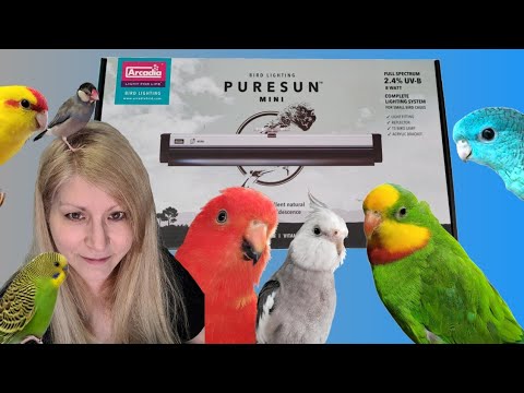 The Importance of UVB for Birds + Unboxing the PureSun Mini Bird Light