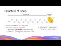 Understanding Esters and Soaps
