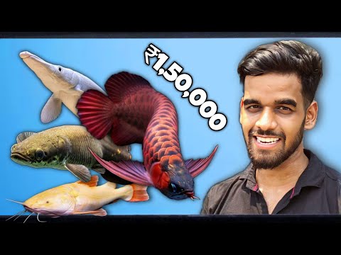 I WENT TO SEE EXOTIC ₹150000 GAR, AROWANA FISH!