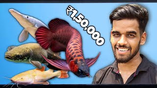I WENT TO SEE EXOTIC ₹150000 GAR, AROWANA FISH!