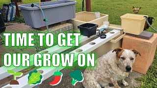 Hydroponics System Build = Hoocho Buckets, NFT, Dutch Buckets & MORE