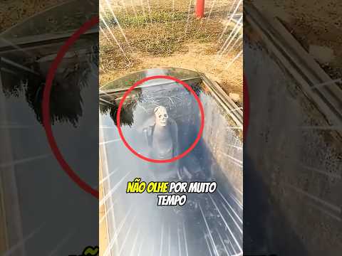 Por que este túmulo é transparente vai te chocar 🫣😱