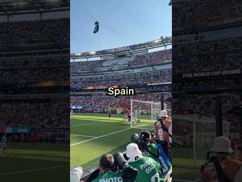 Spain winning goal against Argentina