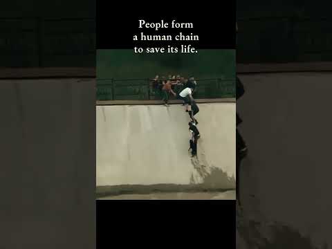 Not All Heroes Wear Capes - #art