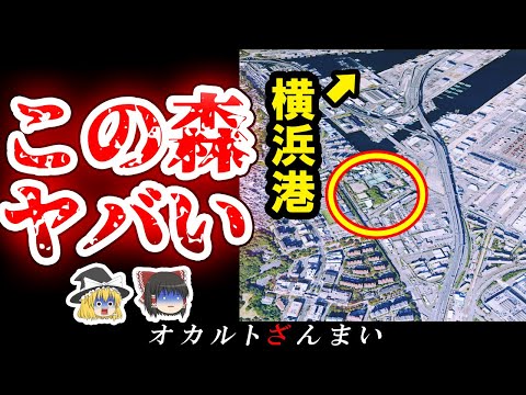 【※神奈川】横浜に伝わる『魔の森』の正体とは…横浜最恐の心霊スポット5選【ゆっくり解説】