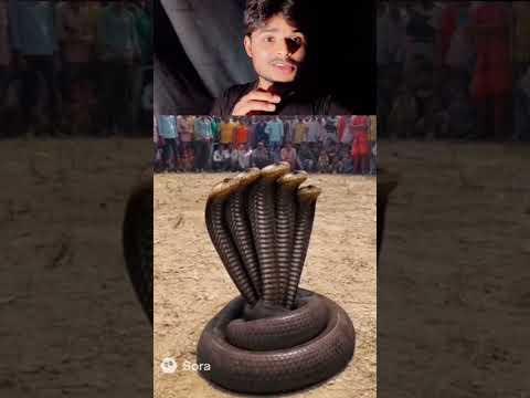 ये वीडियो **Sora AI** ने बनाई है #SoraAI #reactionvideo #comedy #funny