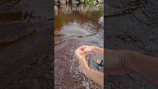 My feet find gold
