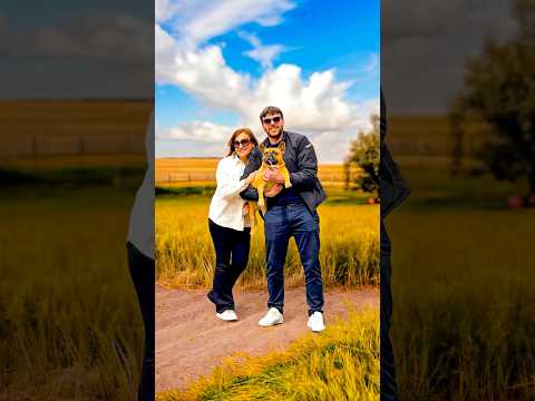 Visita all’allevamento di bulldog francesi #cane #canedivertente #bulldogfrancese