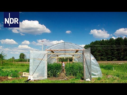 Traum vom eigenen Acker: Wie Jungbauern in Mecklenburg einen Hof übernehmen | NaturNah | NDR Doku