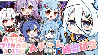 【 #ありうむマリカ大会2025 】本番前日🚗がんばるぞ！【涼月すい/Varium】