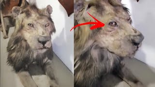 SE VOCÊ ACHAVA QUE TINHA VISTO TUDO ASSISTA ESSE VÍDEO BIZARRO VÍDEOS ASSUSTADORES