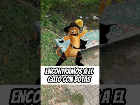 Encontramos a el gato con botas