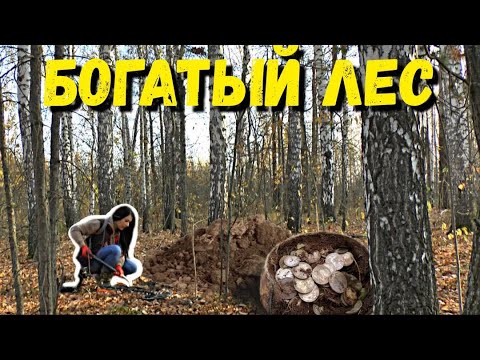 ЭТО ЧУДО - НАШЛА В ЛЕСУ МЕСТО УСЫПАННОЕ СТАРИННЫМИ РАРИТЕТАМИ