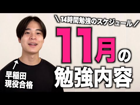 【11月の勉強内容】早稲田に逆転合格した勉強スケジュールを公開します！！