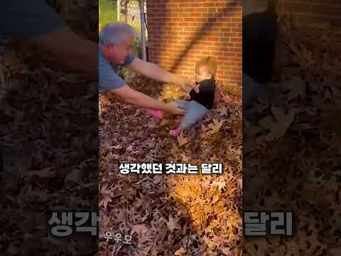 할아버지랑 놀다가 낙엽이 싫어진 아기