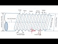 Thread Terminology and Concepts