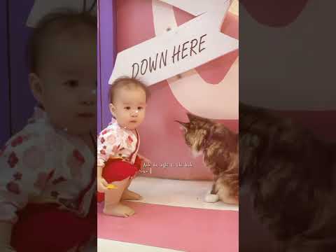 Cat and Du Du ✨ #dudu #emberong #cute #baby #family #cutebaby #babycute