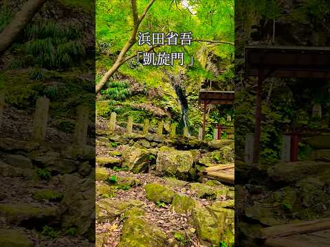 滝頭公園の不動の滝に着きました。絶景です。この動画に合わせて浜田省吾さんの凱旋門 を聴いてください。#浜田省吾 #浜田省吾ファン #凱旋門 #滝頭公園 #滝頭不動の滝#滝 #風景 #景色 #自然