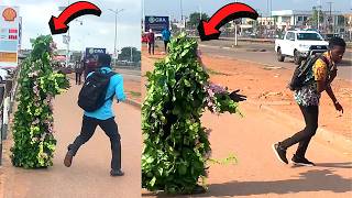 BUSHMAN PRANK SUPER FUNNY 😆 REACTIONS